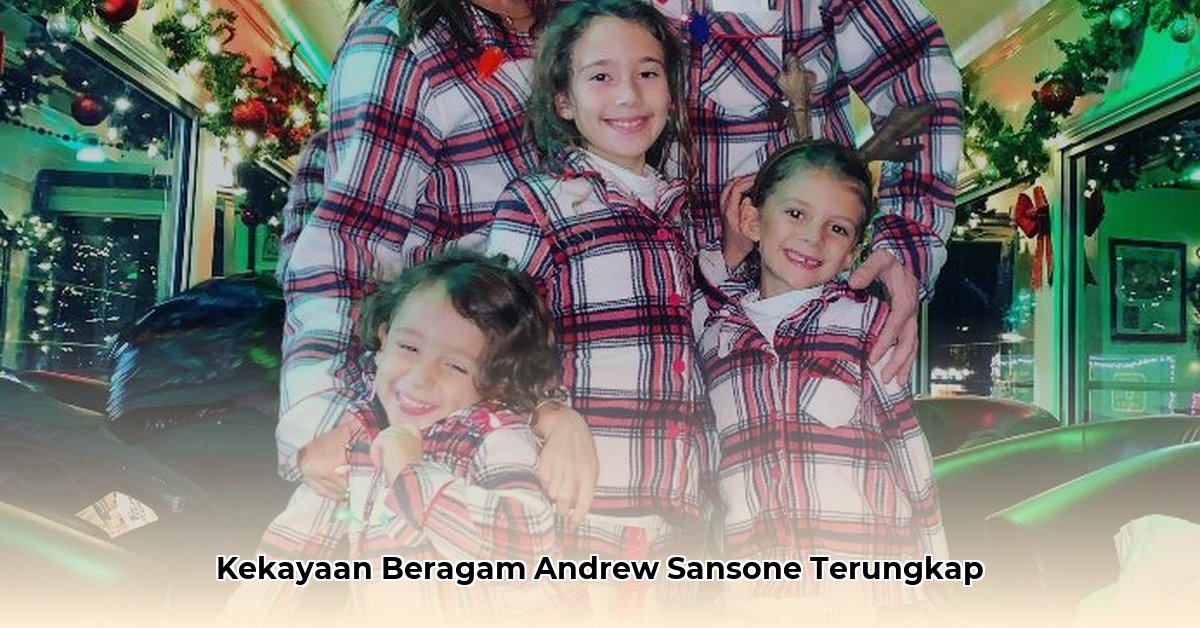 andrew sansone net worth